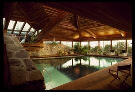 06_02_002 - Gilbert house, Alpine, New Jersey - Pool